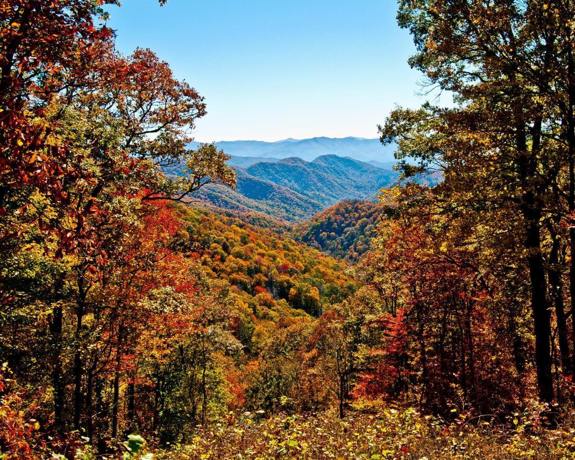 Moonlight Lodge Sevierville Eksteriør billede